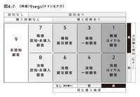 2-6-45：9segsのカスタマーダイナミクス分析
